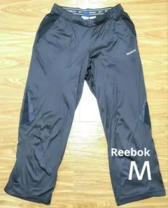 Item thumbnail for item 43cbea5b-da26-4a0d-94fe-f9f73a6fd721