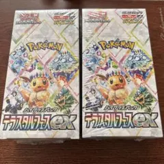 ポケモンカードゲーム テラスタルフェスex未開封シュリンク付き2BOX