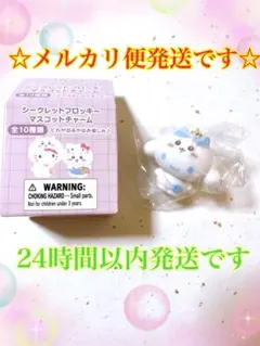 ちいかわ サンリオコラボ シークレット フロッキー マスコット チャーム シナモ