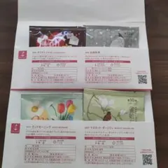 LUPICIA 今月のお茶サンプル　ティーバッグのサムネイル