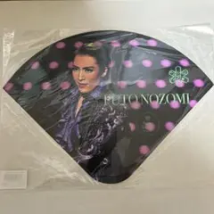 Item thumbnail for item a78cc2d3-239d-4977-aa30-15312fc4f0c8