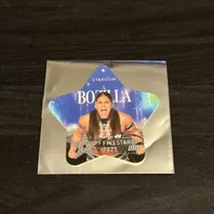 スターダム スポーツ選手