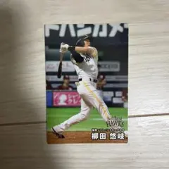 プロ野球チップス2025 柳田悠岐 トレーディングカード ソフトバンク
