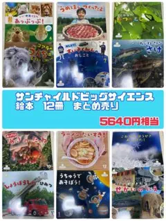 2026年最新】サンチャイルド・ビッグサイエンス セットの人気アイテム