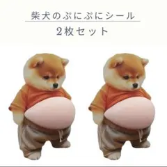 柴犬　2枚セット　3D シール　ステッカー　おなかぷにぷにシール　スクイーズ