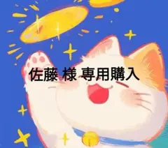 メリカリ様購入専用です AZONE INTERNATIONAL::えっくす☆きゅーと