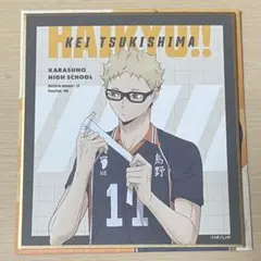 ハイキュー!! 月島蛍 ミニ色紙コレクション