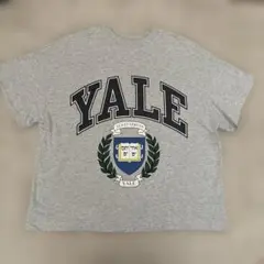 Yale カレッジTシャツ Mサイズ　H&Mのサムネイル