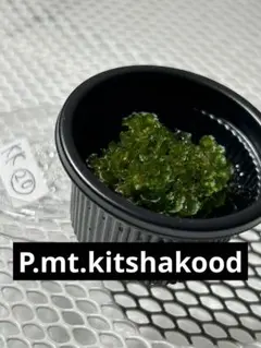 2025年最新】ビカクシダ前葉体の人気アイテム - メルカリ