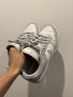 Item thumbnail for item 73b21321-23b4-4d7a-bf44-e99d9ca1646c