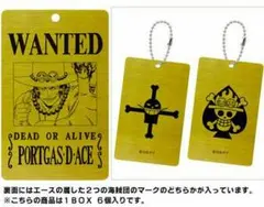 ONE PIECE ワンピース メタル手配書