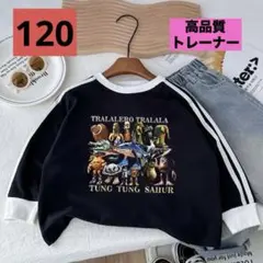 イタリアンブレインロット 100