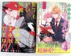 kanaya様 リクエスト 2点 まとめ商品