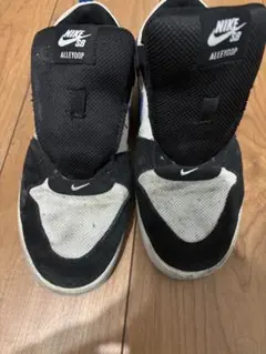 NIKE SB 紐なし　スケシュー
