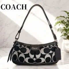 2026年最新】coach ワンショルダーバッグ シグネチャーの人気アイテム