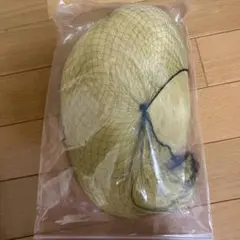 ツイステ　ウィッグ　コスプレ　ルーク