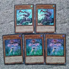 影六武衆フウマ、ハツメ