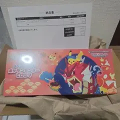 ポケモンカードゲーム スペシャルBOX ポケモンセンターヒロシマ