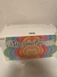 未開封 正規品ラブブ Big into Energy アソートボックス 1個