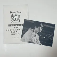 STRAYKIDS スキズLEEKNOW リノATE 購入特典 直筆サイン入り 映画 Stray Kids The dominATE 第1弾入場特典 リノ - メルカリ