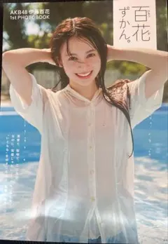 Item thumbnail for item 89c12db0-fdc3-4bc7-bf66-abc70f0b34b9