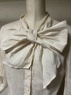 アナイ　　ボウタイ　シャツ