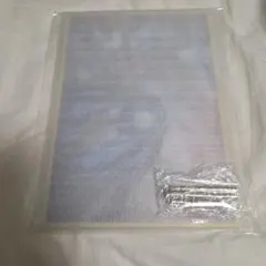 鬼滅の刃 WEBSHOPくじ A賞 猗窩座