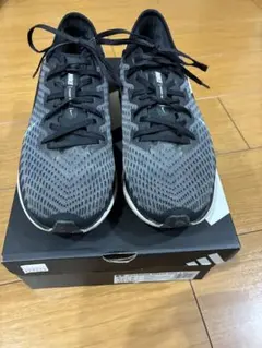 【25.5cm】NIKE ペガサスターボ2のサムネイル