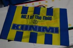 Item thumbnail for item 67de3e88-b58a-4dc9-b48b-0a2ac4932d1e