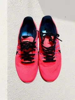 Item thumbnail for item d5623265-b515-4a76-b503-27d224e1ec93