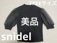 スナイデル　snidel 黒　ブラック　半袖　トップス　シアー