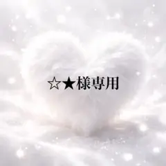 ☆★様専用ページ