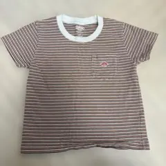 DANTON ストライプ Tシャツのサムネイル