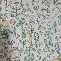 チェック&ストライプ　C&S イザベルボワノ　 庭でかくれんぼ