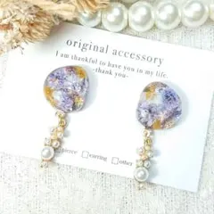 プルメリア様#4147/ハンドメイド♡押し花ドライフラワーレジンピアス