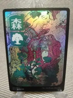 MTG 神河 フルアート基本土地 まとめ売り （25枚） - メルカリ