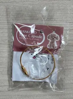 ☆未開封☆ わんこのタイムカプセル ラテ