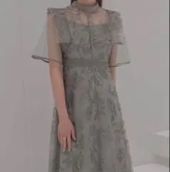 Apuweiser-riche チュール刺繍ラッフルドレス 結婚式 お呼ばれ S
