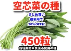 青い空様 リクエスト 2点 まとめ商品