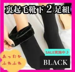 裏起毛ソックス　厚手　暖かい　靴下 防寒対策 レディースソックス 2足組