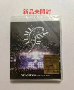 wands TIME STEW live tour 2025 フォトブック - メルカリ