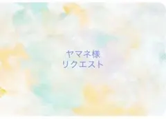 ヤマネ様 リクエスト 3点 まとめ商品