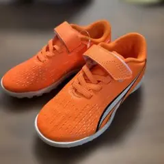 Item thumbnail for item f0b68f03-6ba4-4fff-bf74-9406f98abe39