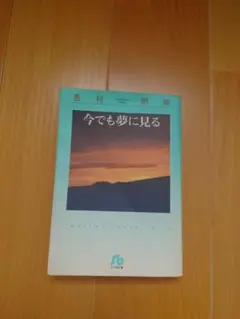 Item thumbnail for item 88c9d59d-4fbb-4922-8dc5-213bf4eac0ca