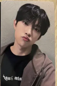 ALD1 ALPHADRIVEONE ゴヌ トレカ