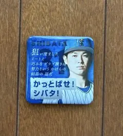 2026年最新】柴田竜拓の人気アイテム - メルカリ