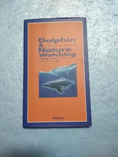 Dolphin & Nature Watching