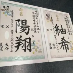 ディズニー命名書　フレーム＆ラミネート付き　67