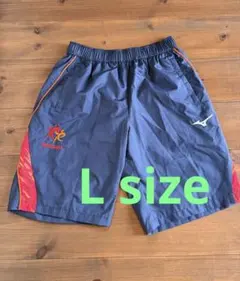 ✨美品 ✨ルネサンス競泳 全国上位モデル ハーフパンツLのサムネイル