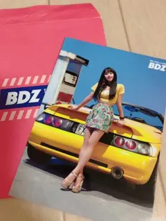 TWICE BDZ ハイタッチ会 ランダムトレカ チェヨン